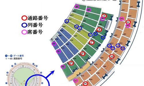 骨头膏价格网骨头王膏药知识网站,分享骨头王膏药怎么样大全